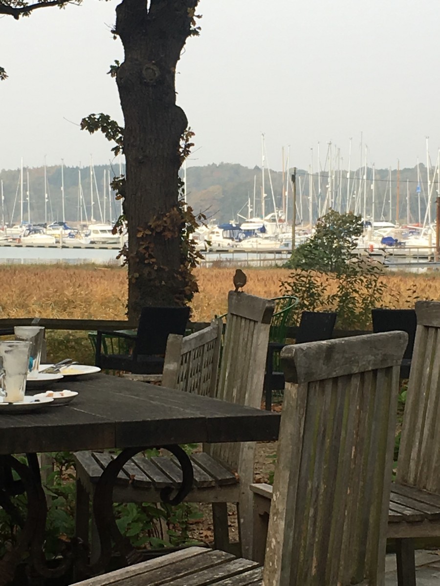 Bistro at Shamrock Quay - Photo 2